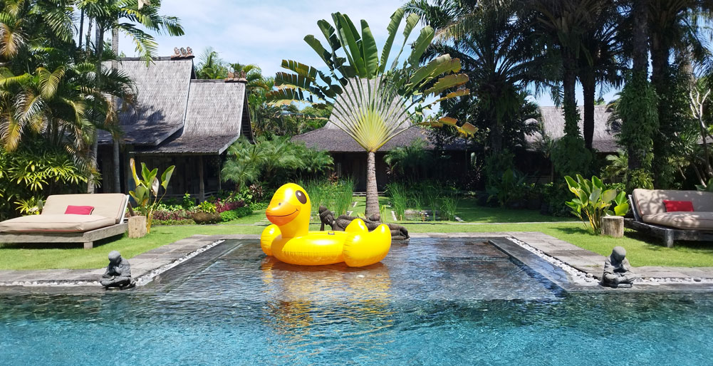 Magnificent villa pool